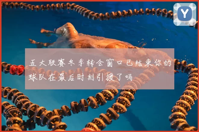 五大联赛冬季转会窗口已结束你的球队在最后时刻引援了吗