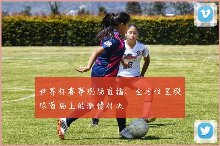 世界杯赛事现场直播：全方位呈现绿茵场上的激情对决