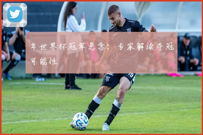 年世界杯冠军悬念：专家解读夺冠可能性