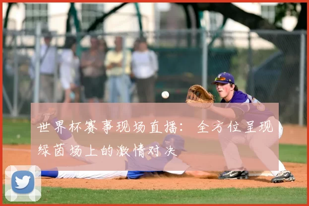 世界杯赛事现场直播:全方位呈现绿茵场上的激情对决