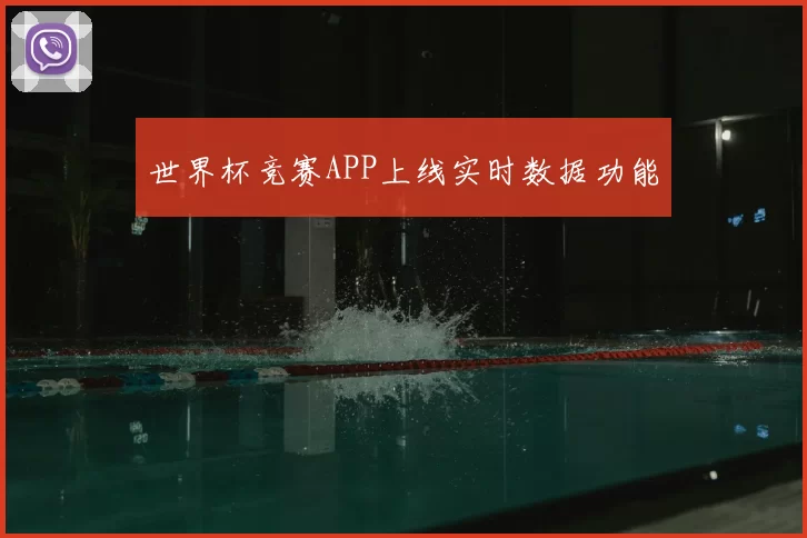 世界杯竞赛APP上线实时数据功能