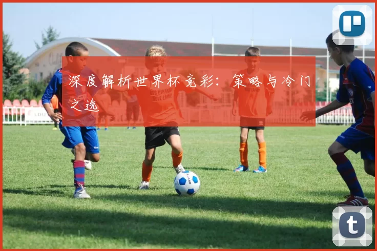 深度解析世界杯竞彩：策略与冷门之选