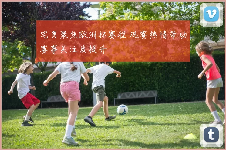 宅男聚焦欧洲杯赛程 观赛热情带动赛事关注度提升