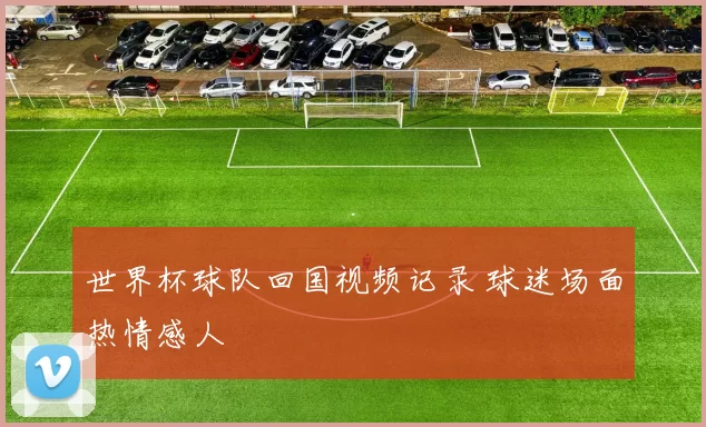 世界杯球队回国视频记录 球迷场面热情感人
