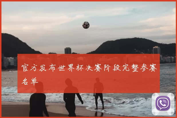 官方发布世界杯决赛阶段完整参赛名单