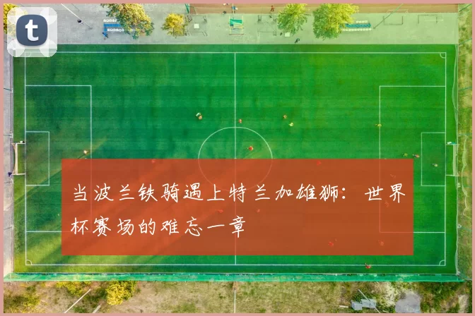当波兰铁骑遇上特兰加雄狮：世界杯赛场的难忘一章